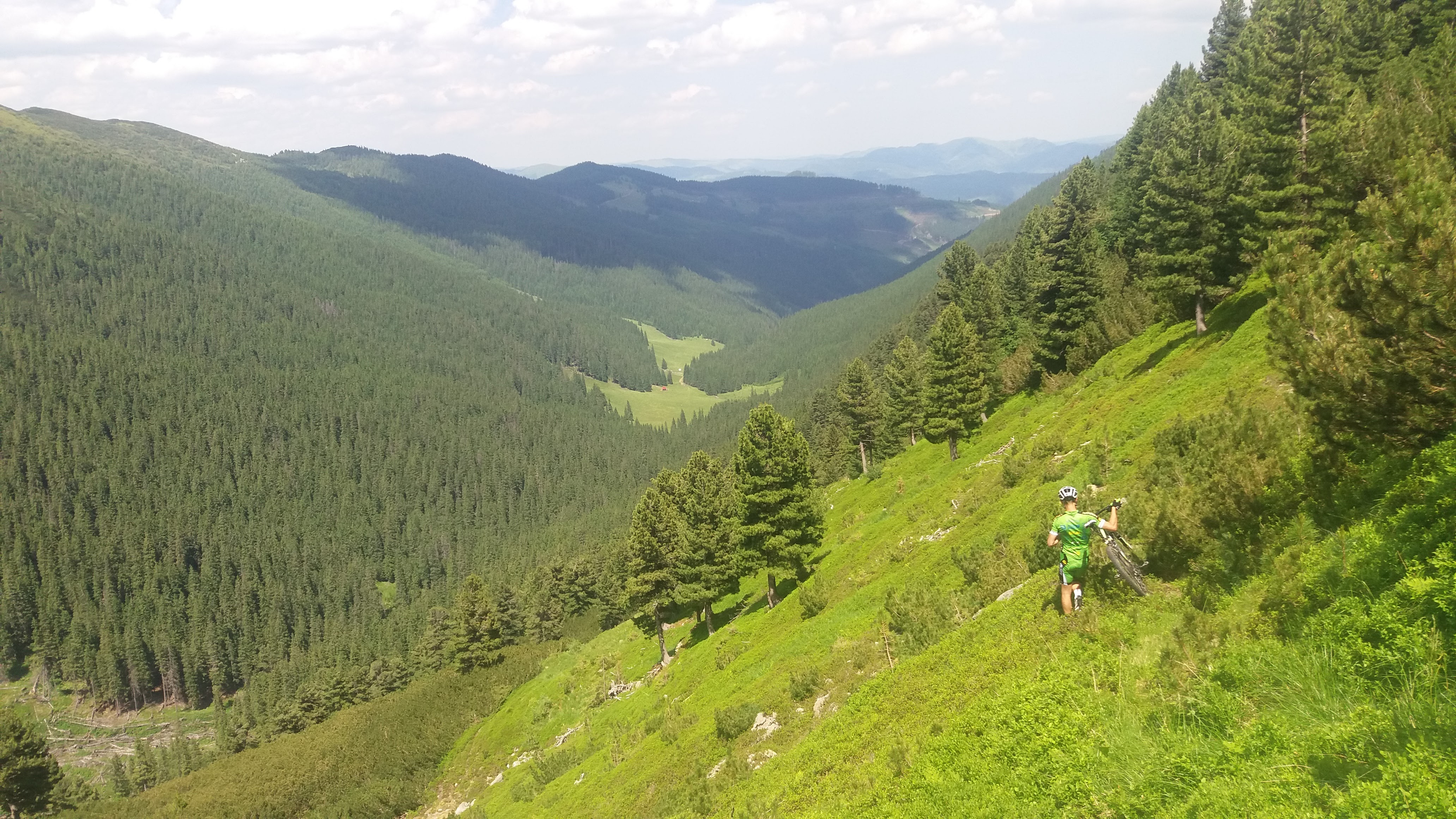 Wilderness Trail 2016