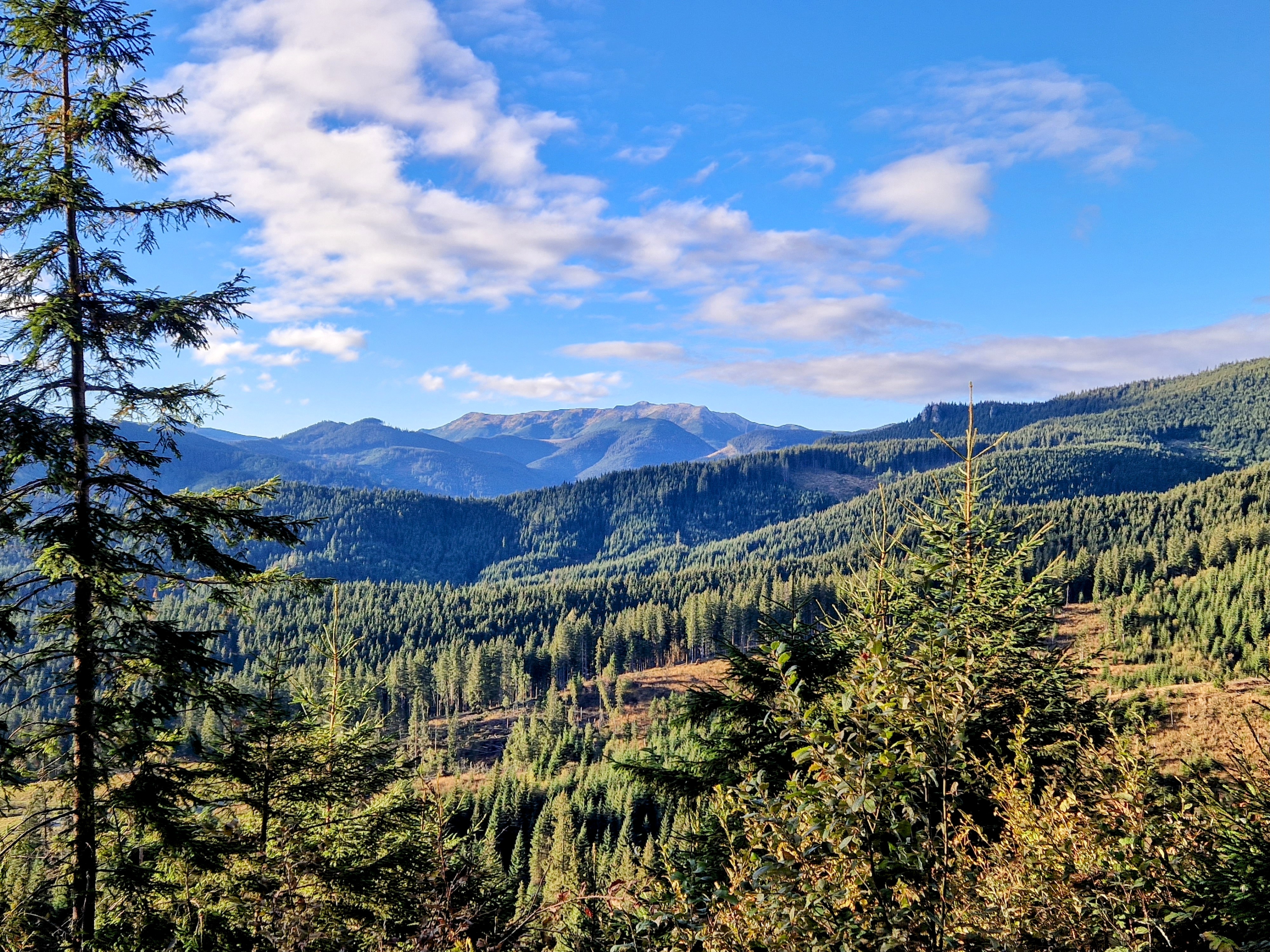 Mountain Landscape 2023