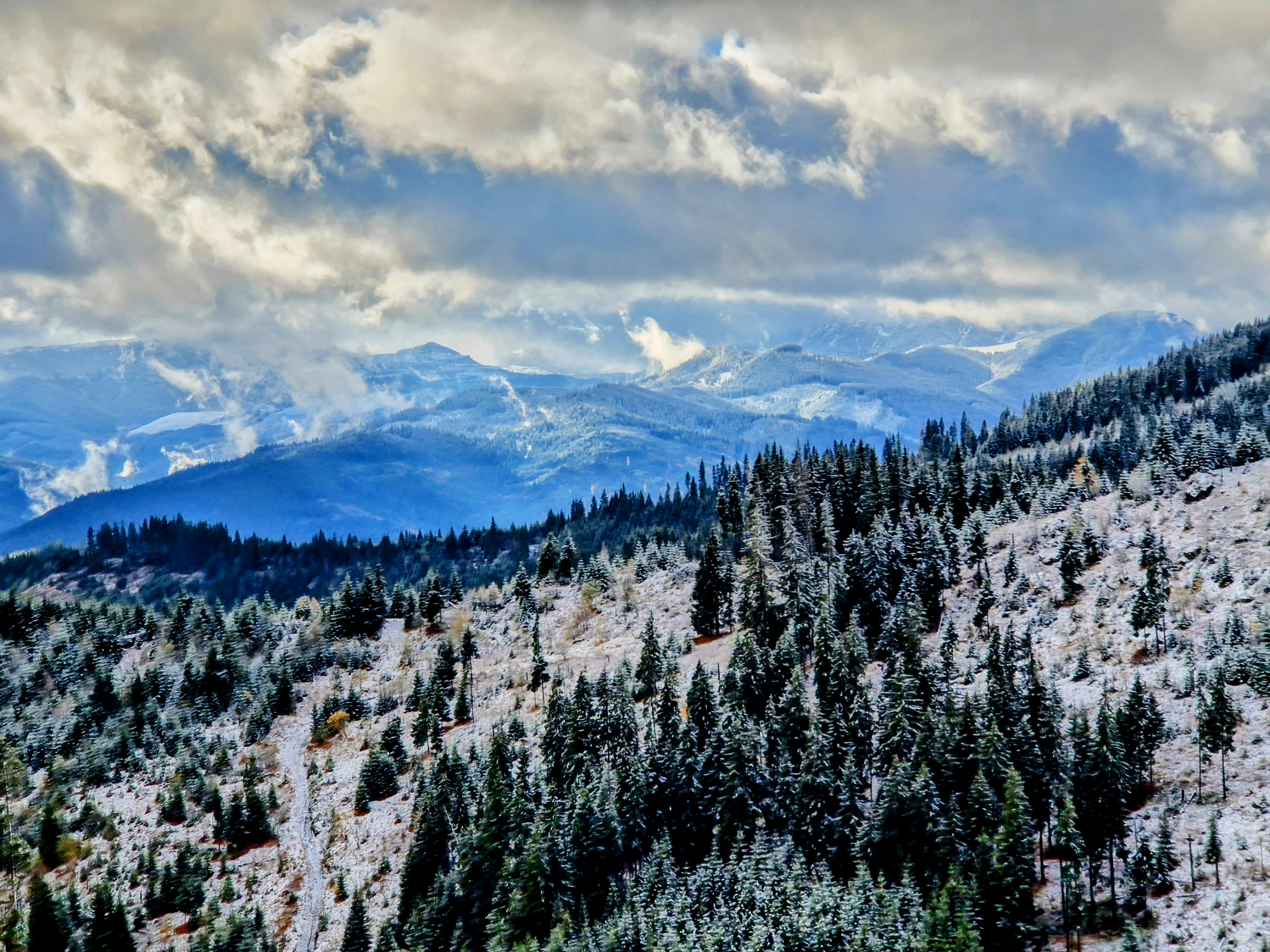 Carpathian Landscape Nov 2023