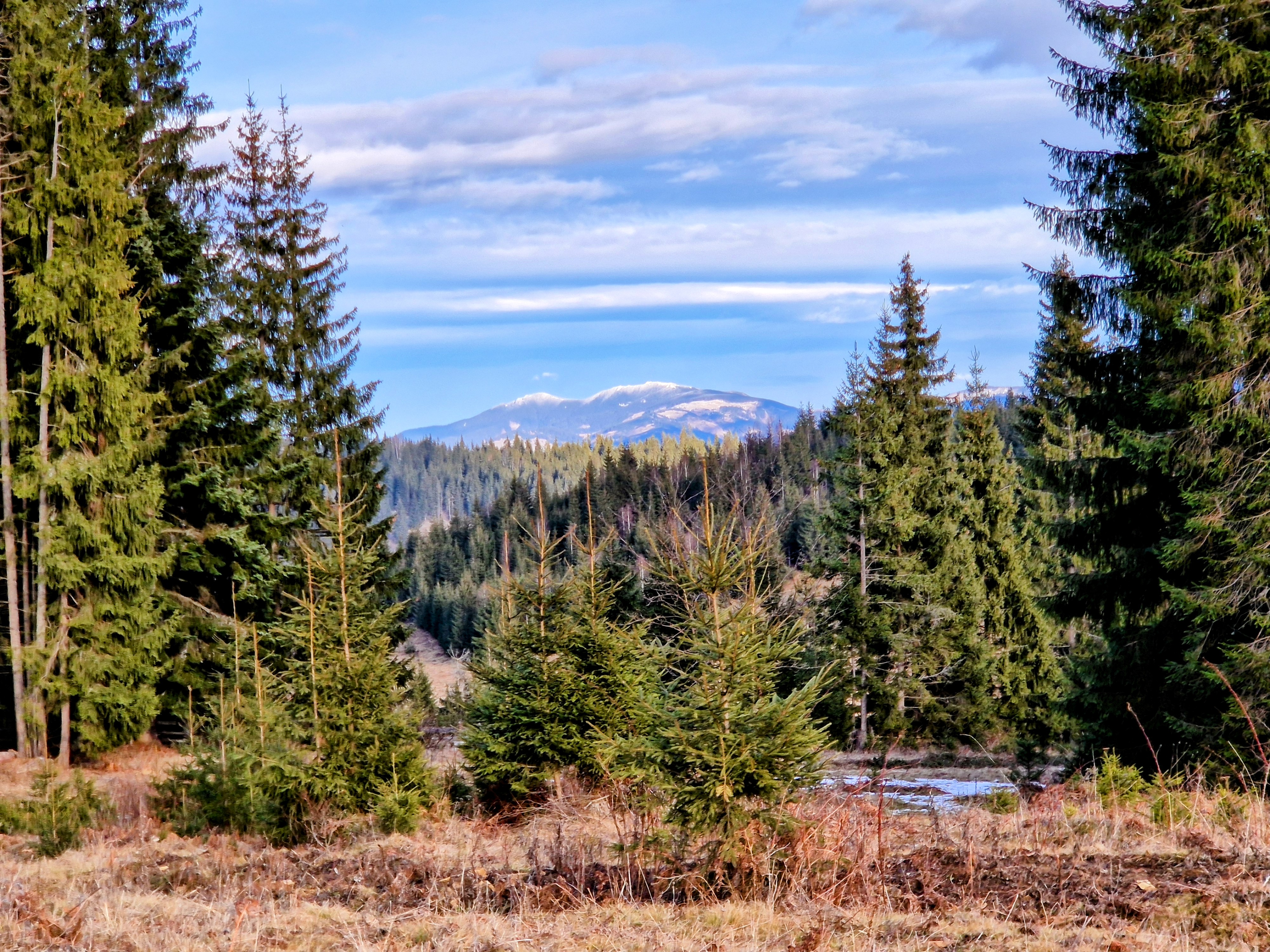 Winter Landscape Jan 2024