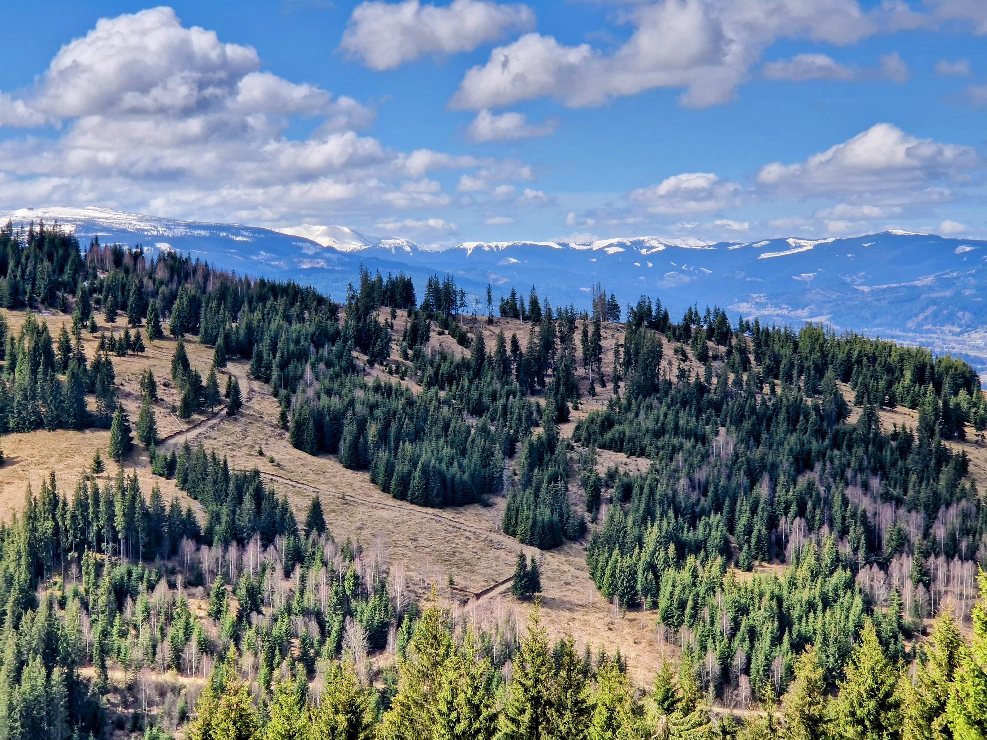 Spring Peaks Apr 2024