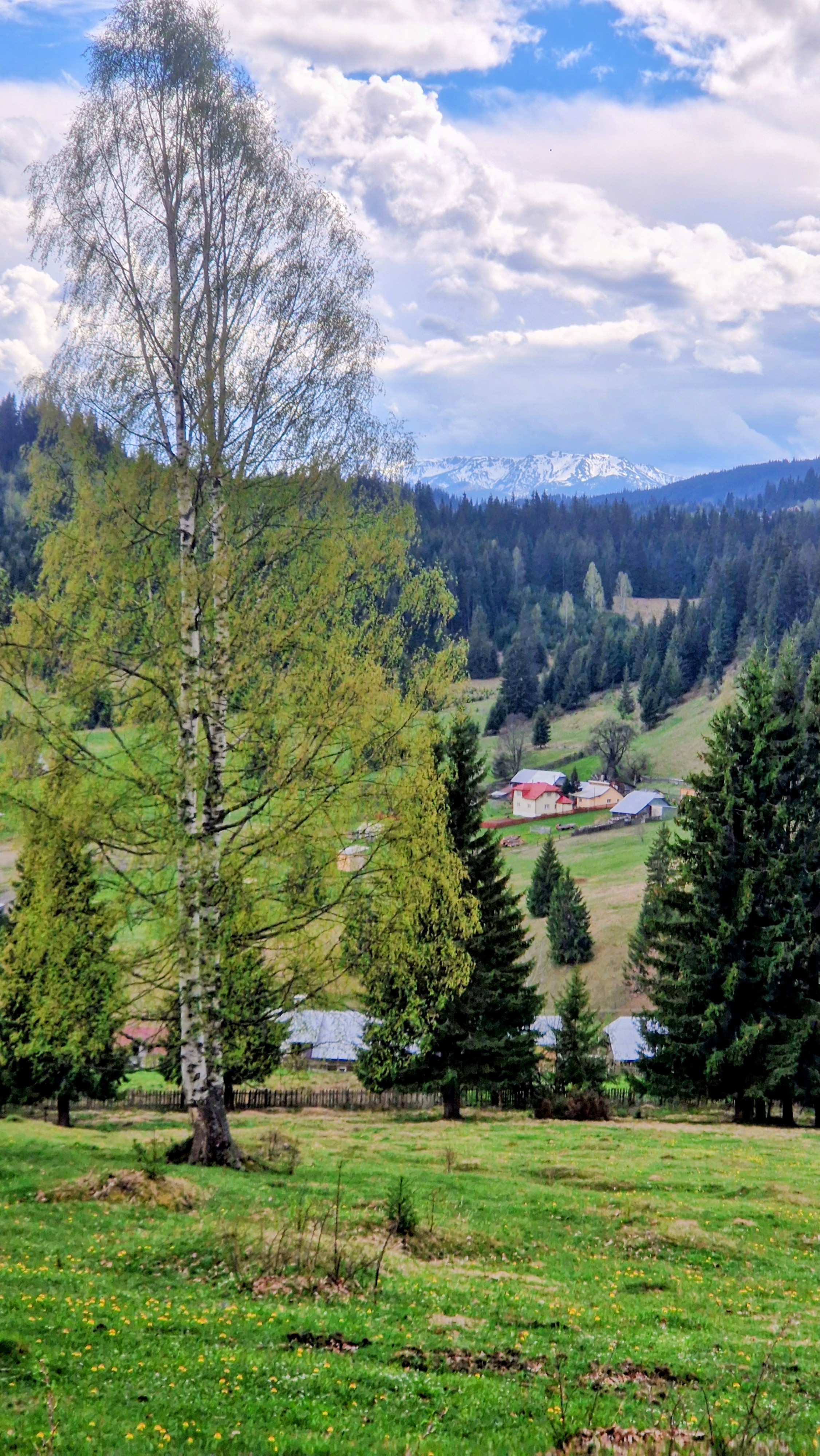 Mountain Panorama May 2026