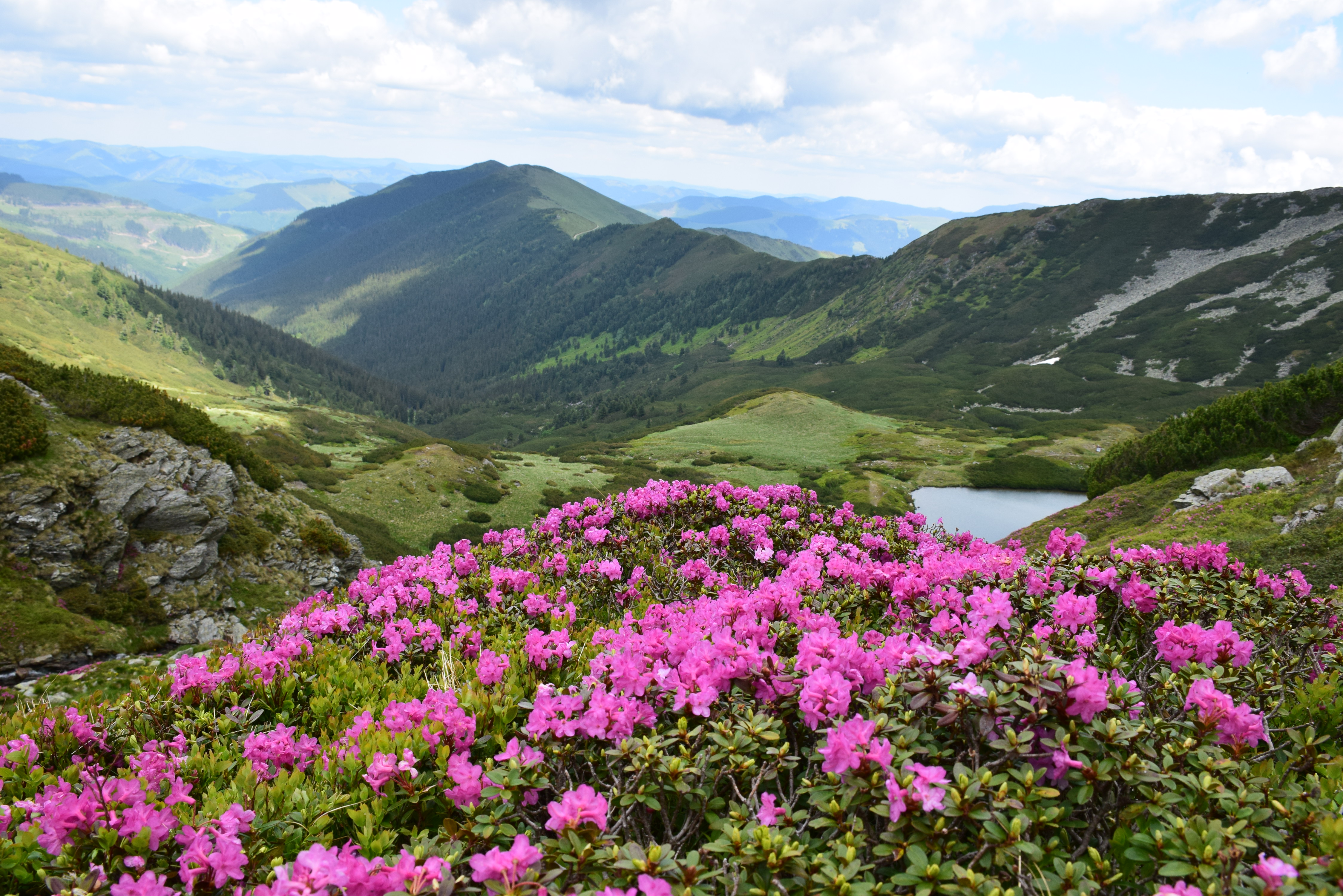 Mountain Landscape DSC_0001