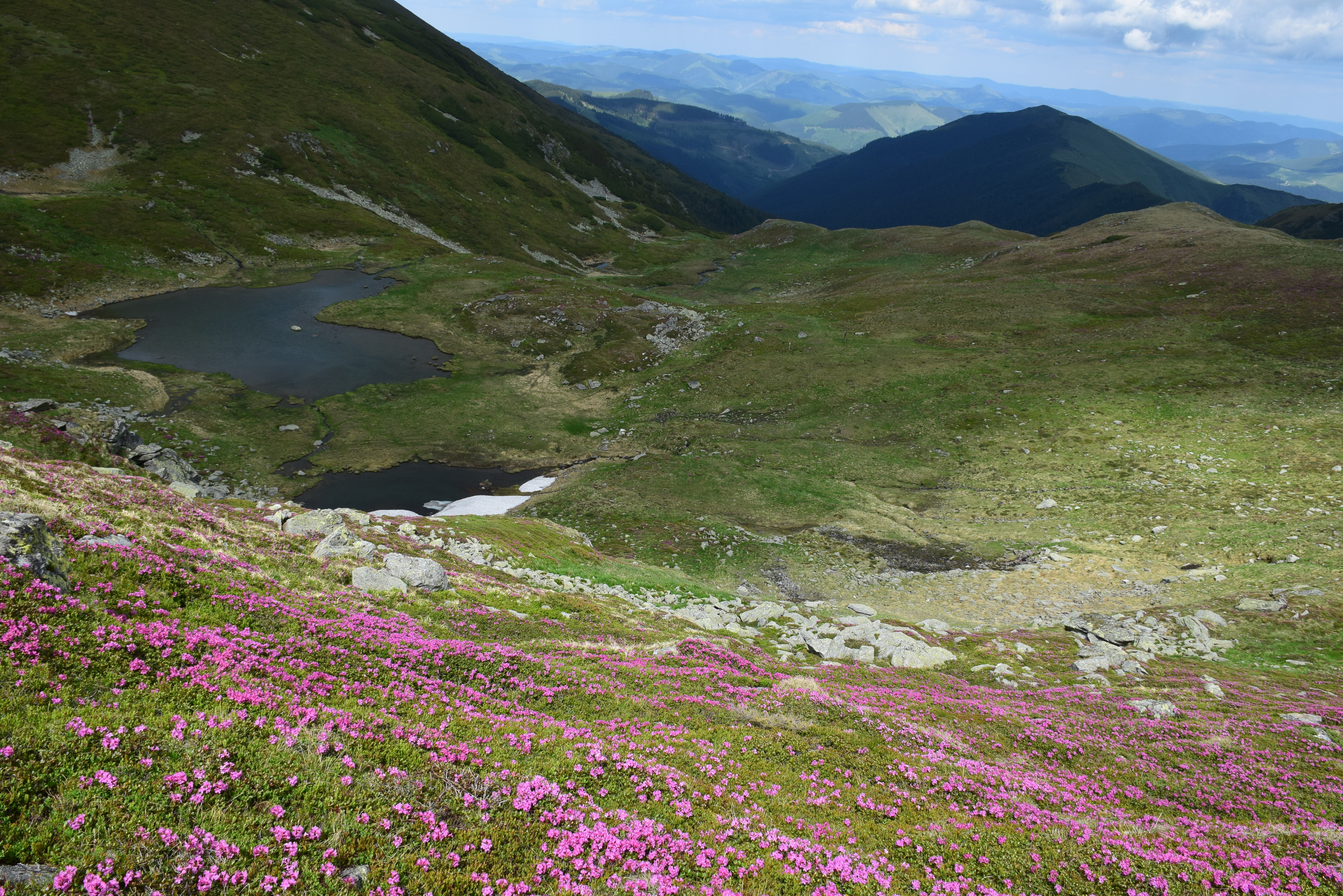 Mountain Landscape DSC_0089