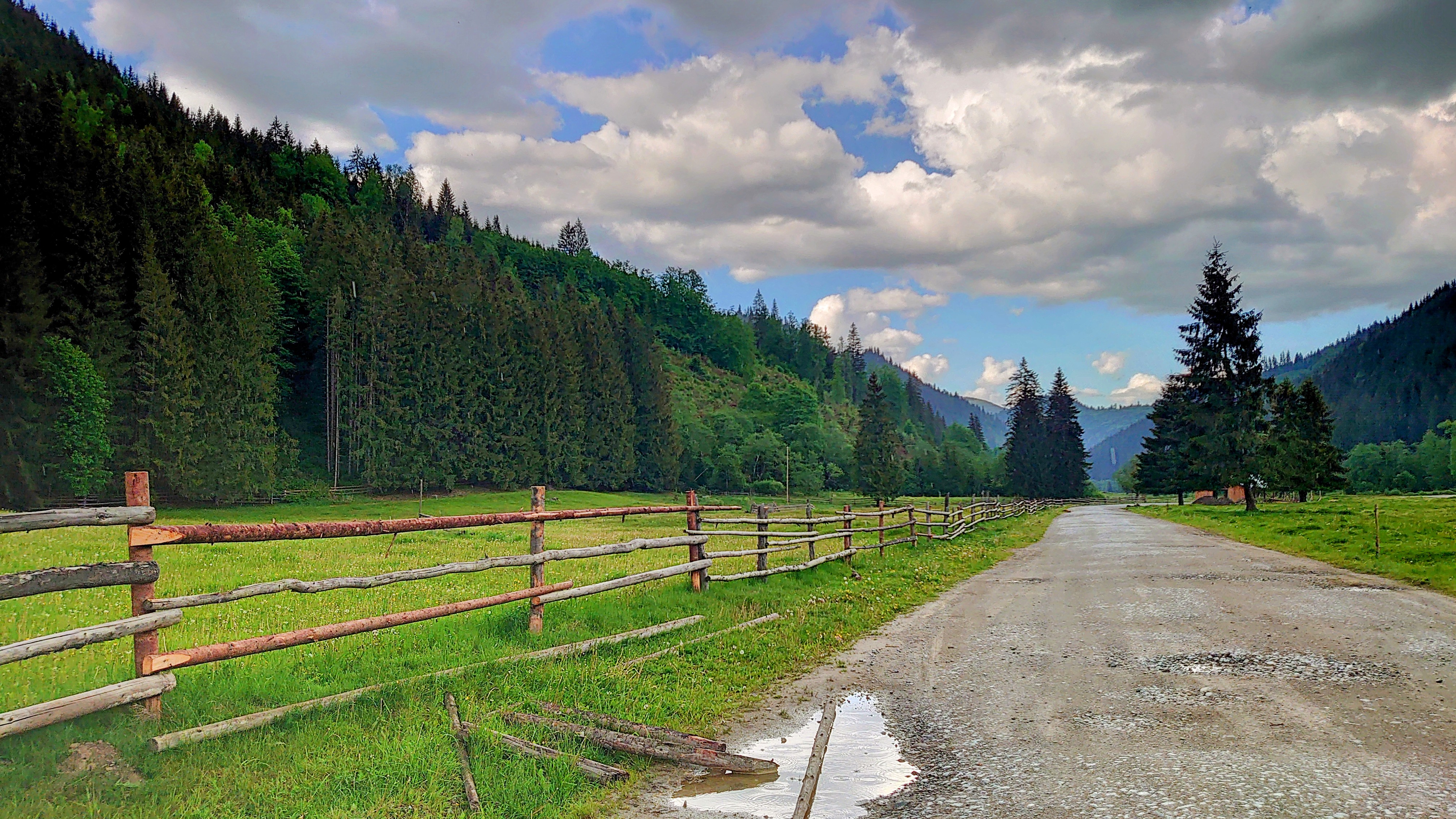 Scenic Trail DSC_0621
