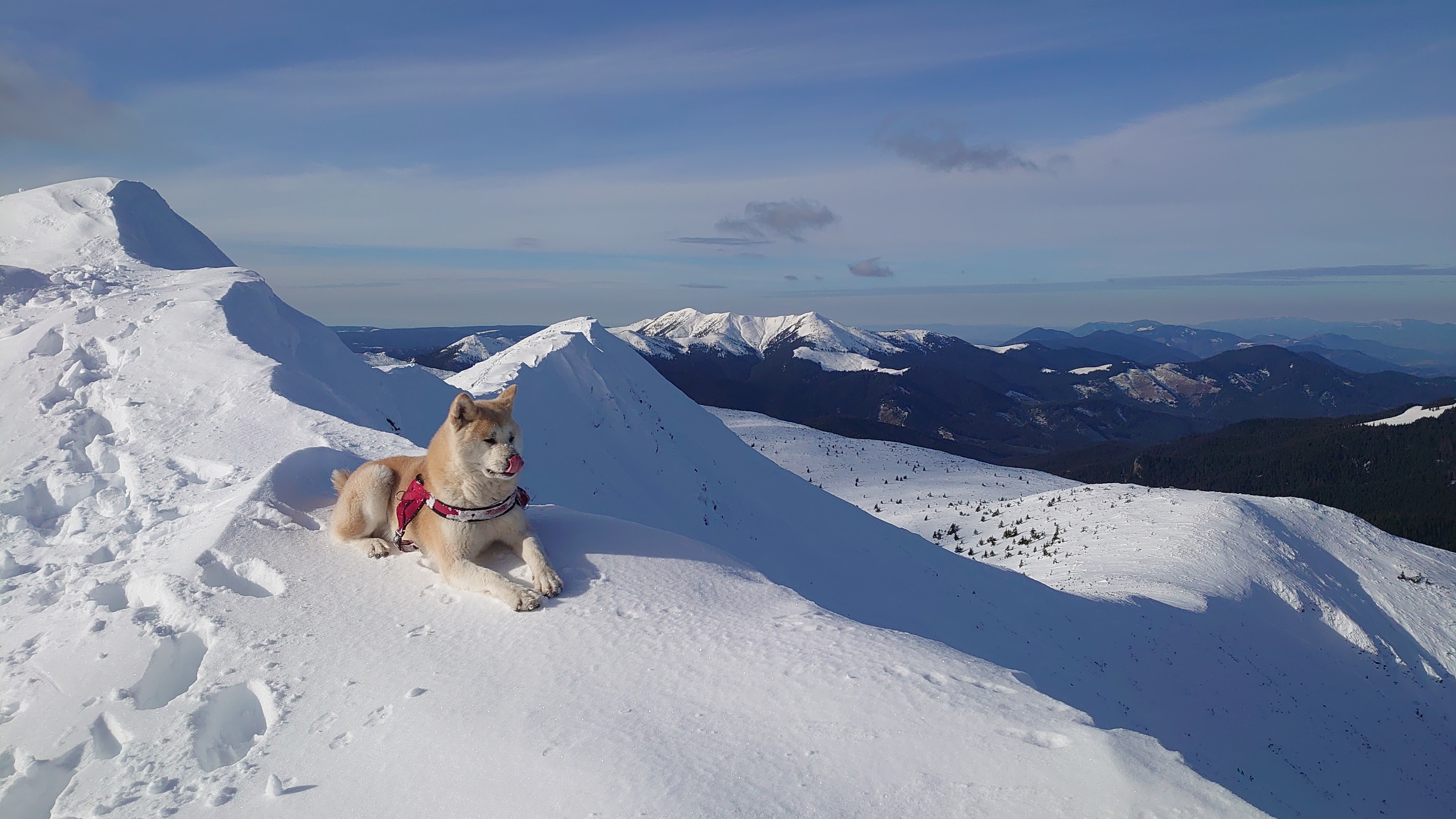 Carpathian Peak DSC_1809