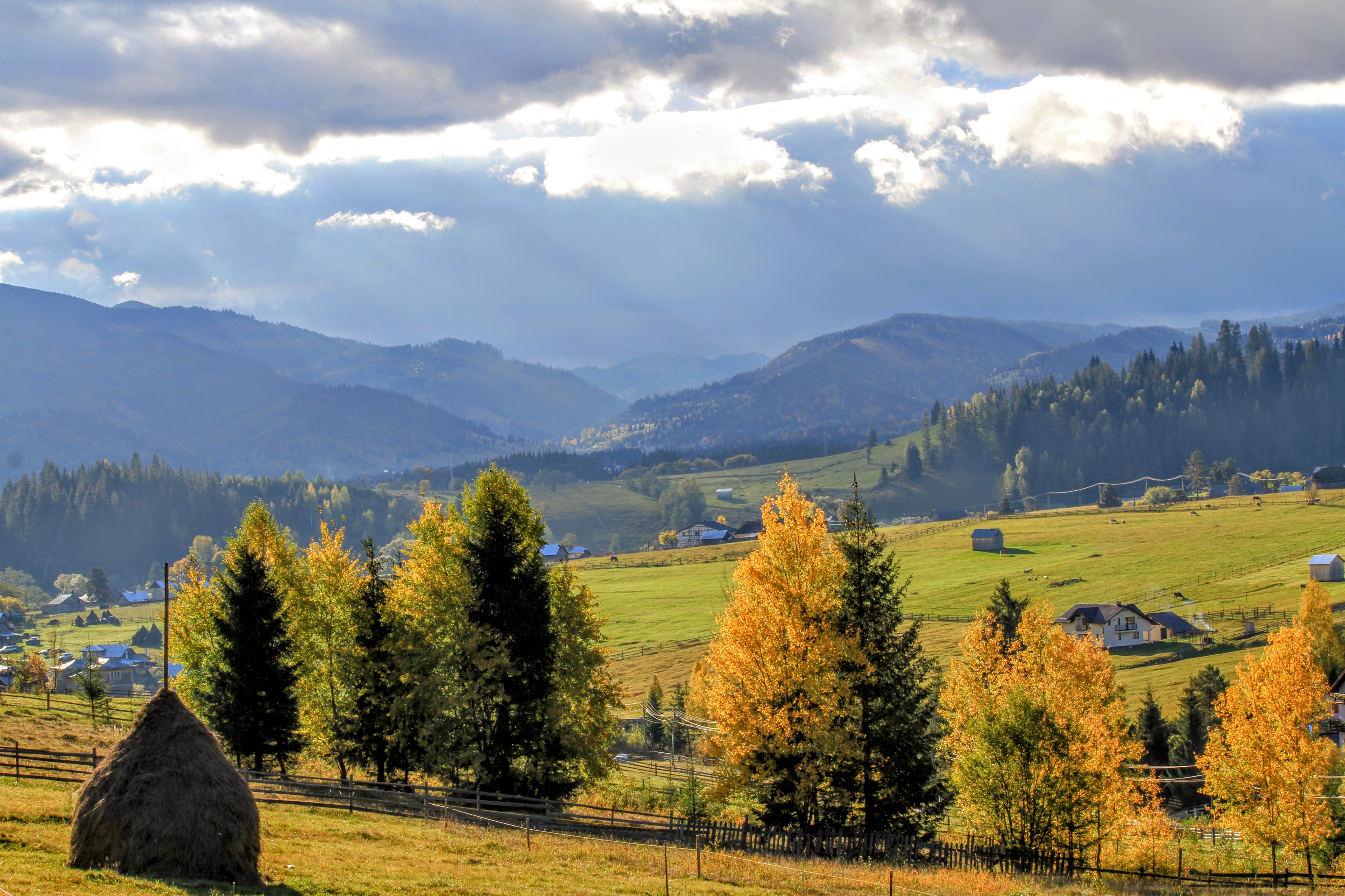 Forest and Mountain IMG_1970
