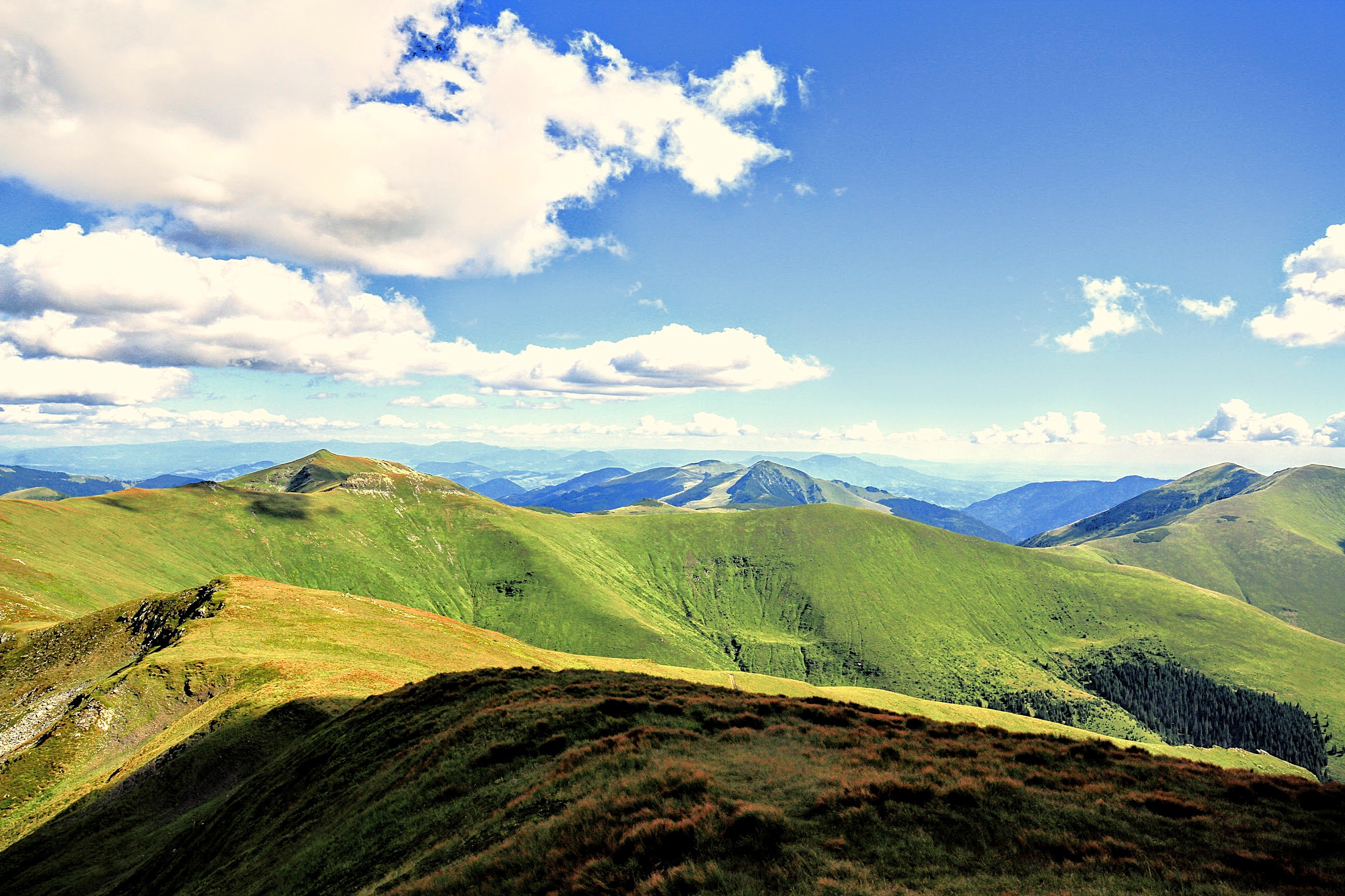 Valley Landscape IMG_5023