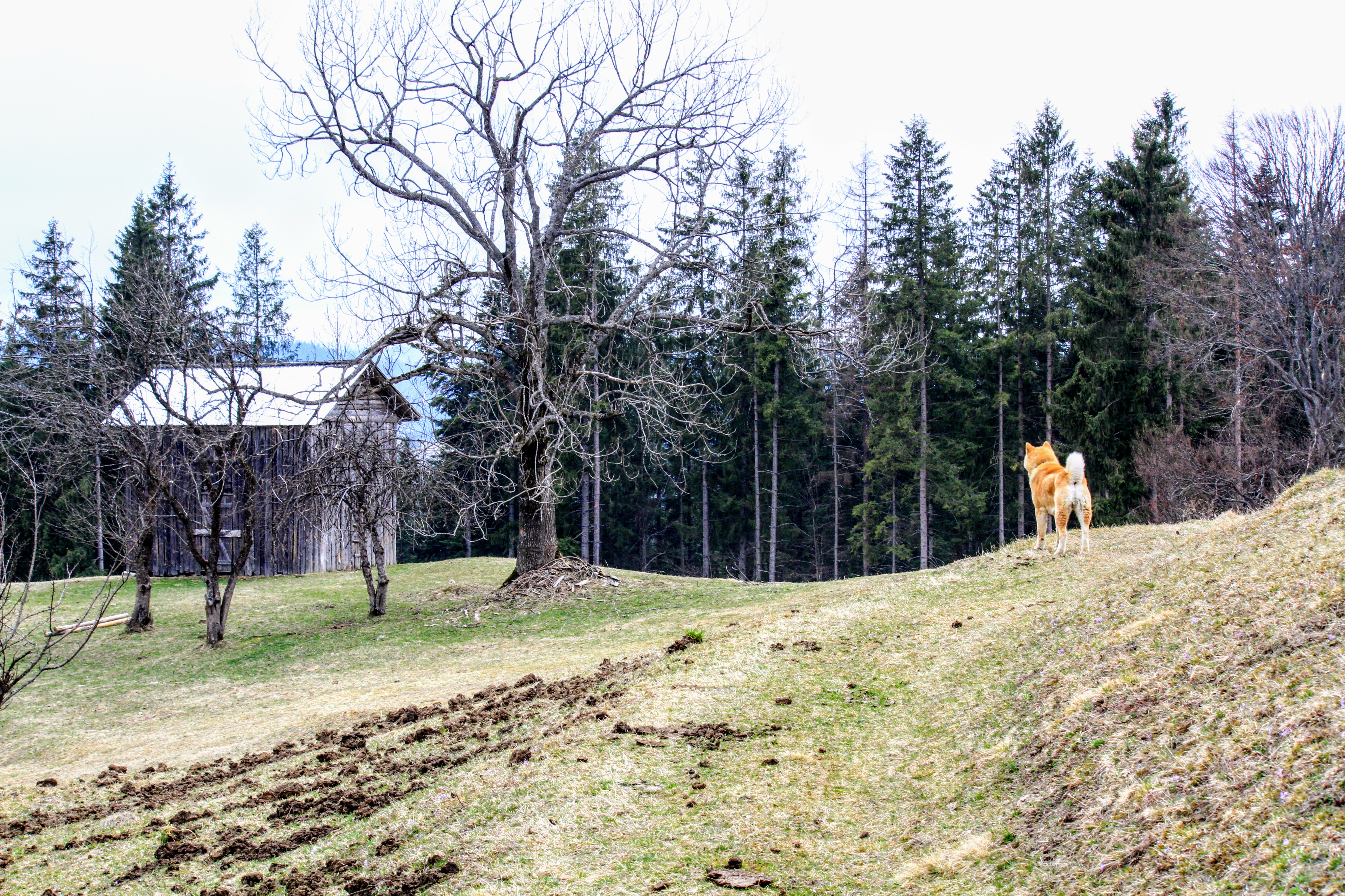 High Altitude Panorama IMG_7563