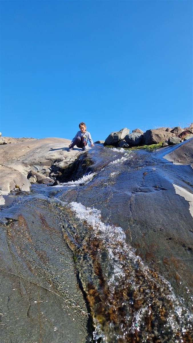 Northern wild photo