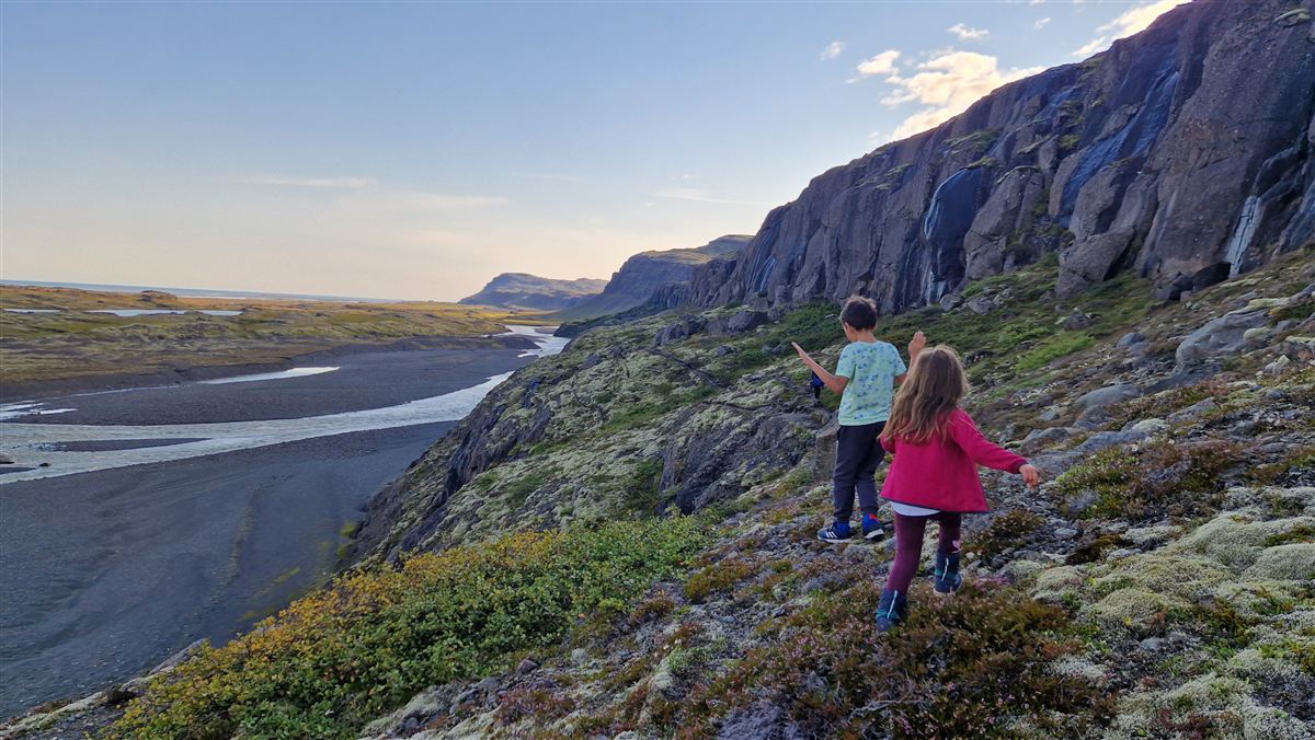 Northern wild photo
