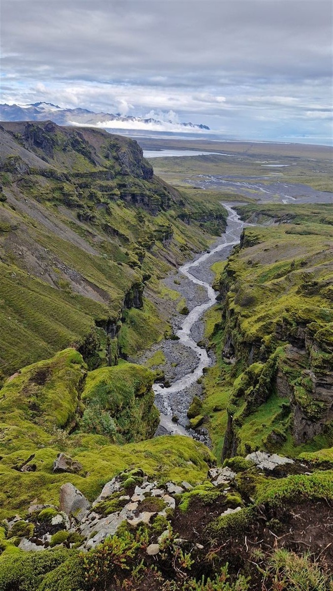 Northern wild photo