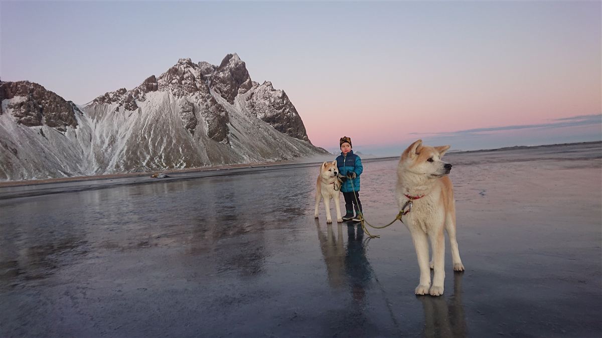 Northern wild photo