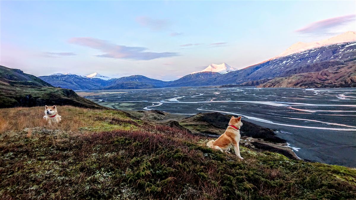 Northern wild photo