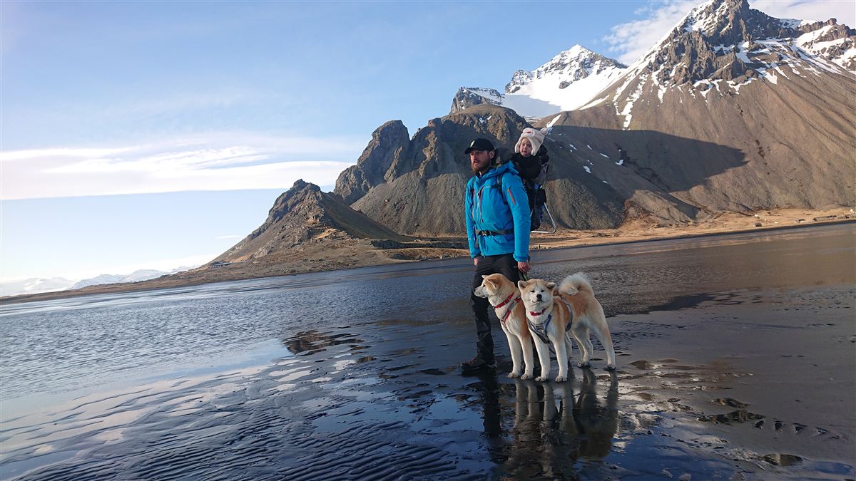 Northern wild photo