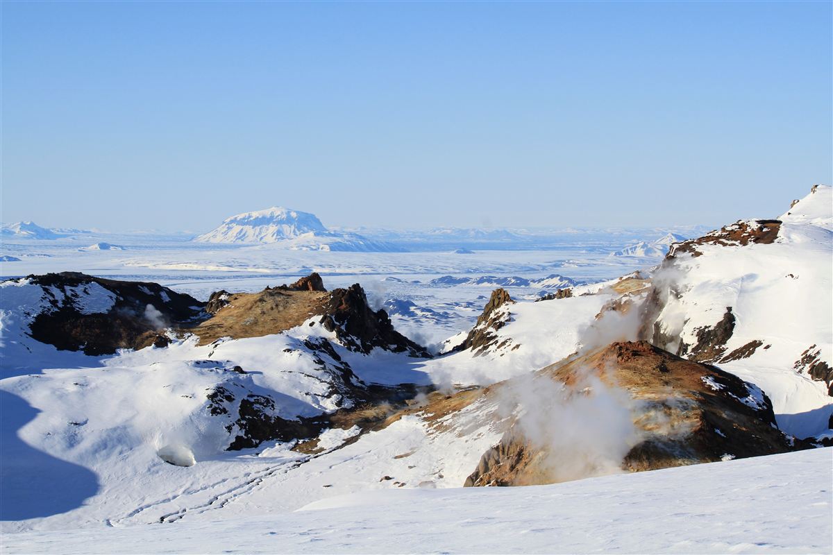 Northern wild photo