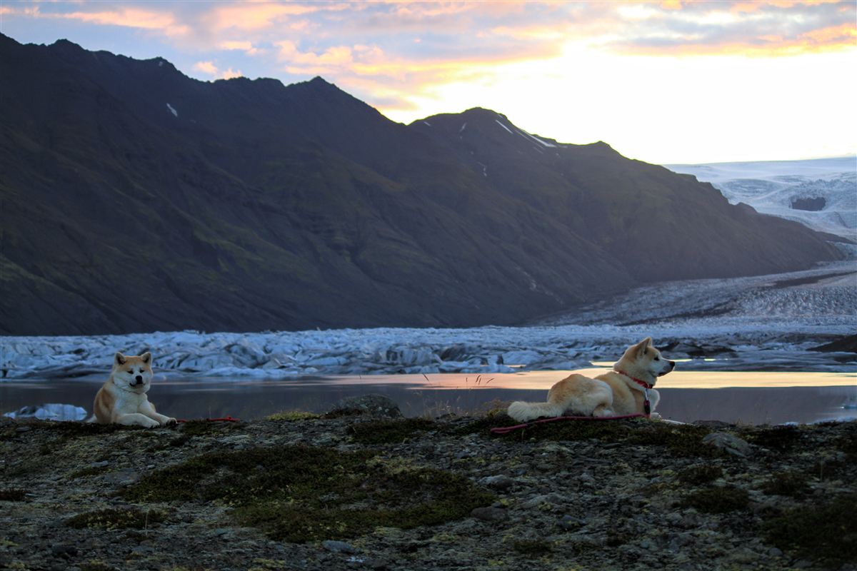 Northern wild photo