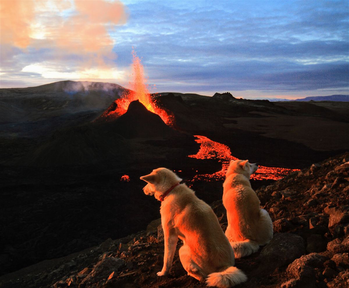 Northern wild photo