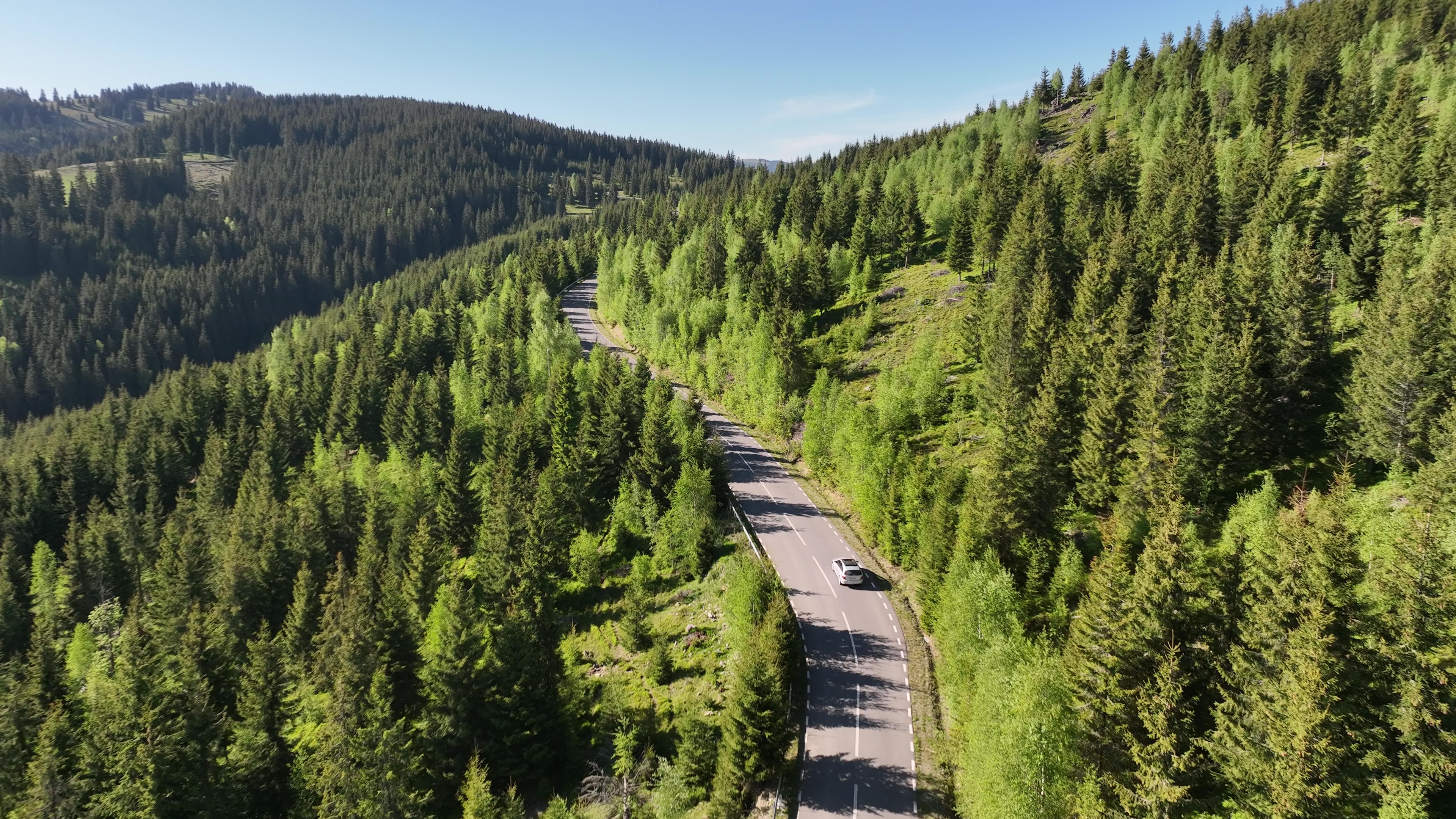 Bilbor Wilderness Trail