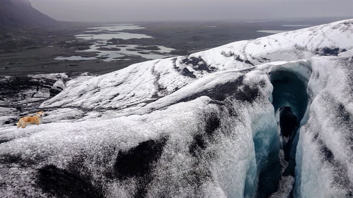 Northern icecaves photo