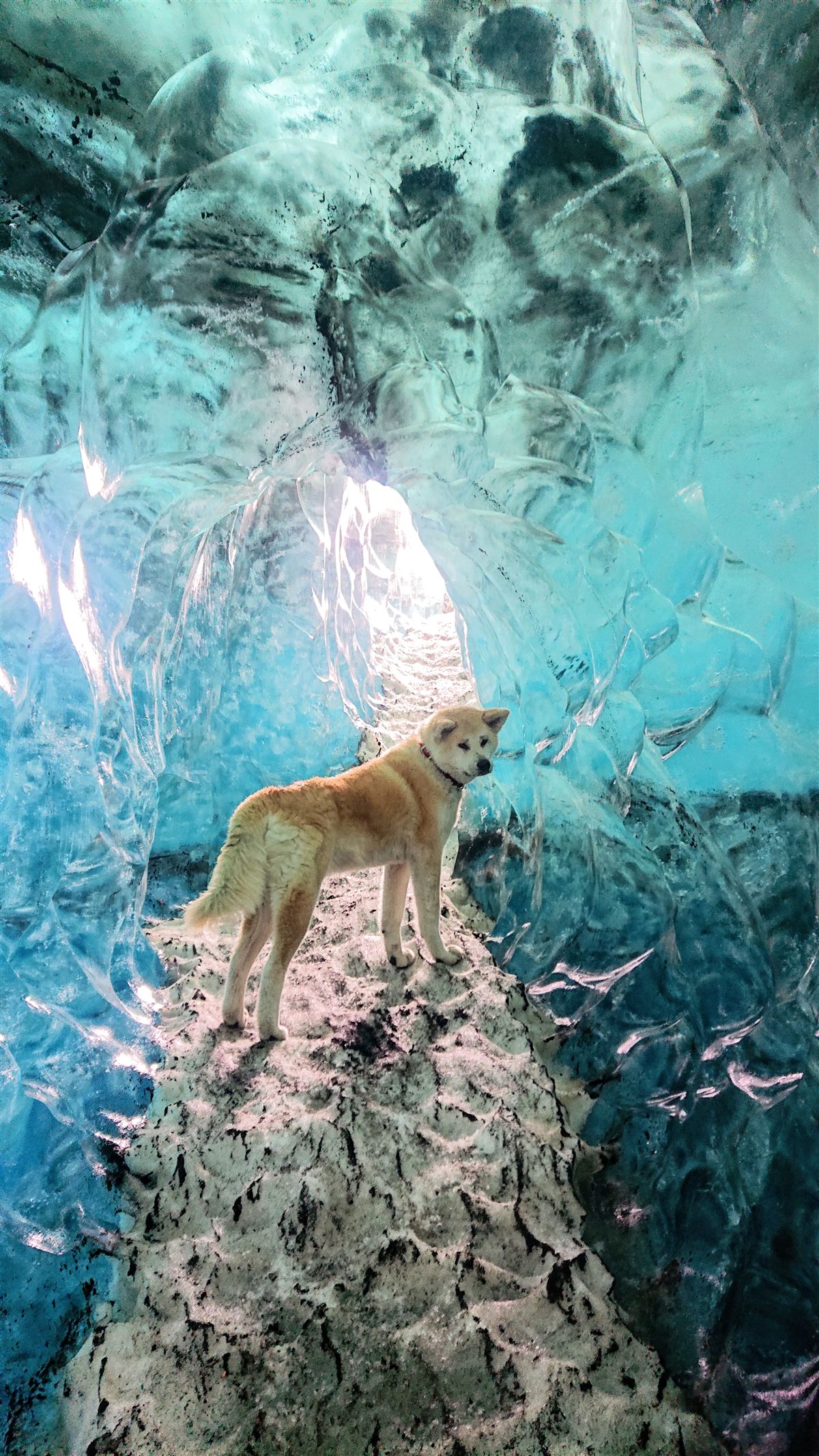 Northern icecaves photo
