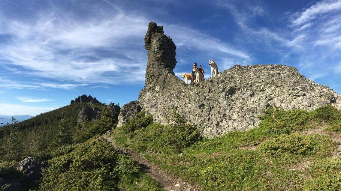 Wilderness Trail Pack